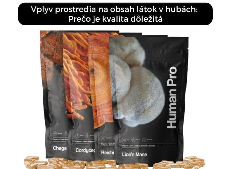 Vplyv prostredia na obsah látok v hubách: Prečo je kvalita dôležitá