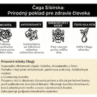 chaga Sibírska Prírodný poklad pre zdravie človeka