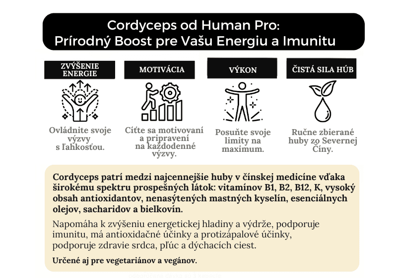 Cordyceps sinesis kapsule