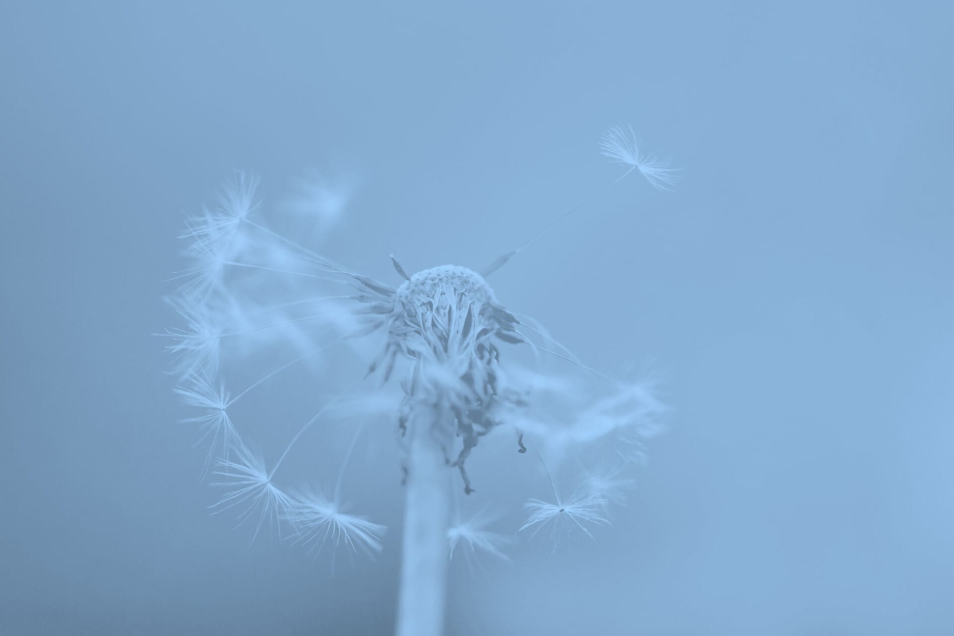 Alergie/intolerancie